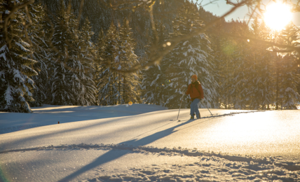 Skitour in den Waadtländer Alpen