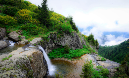 Trabzon Hıdırnebi Plateau © Go Türkiye