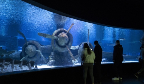 Das Aquarium © Go Türkiye