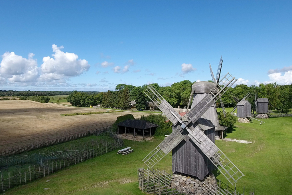Auf Saaremaa (Estland) gibt es rund 800 Windmühlen.