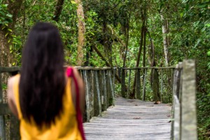 Nationalpark Cahuita in Costa Rica