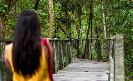Nationalpark Cahuita in Costa Rica