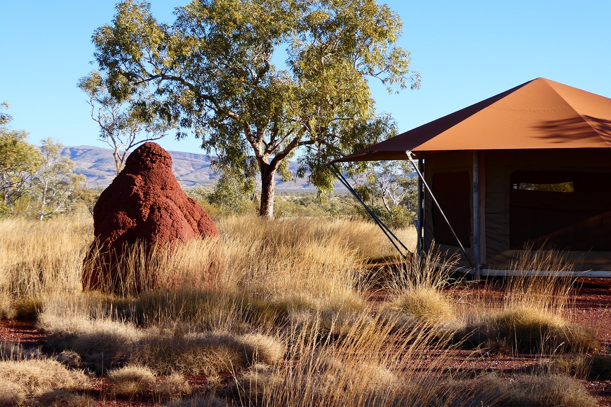 Glamping in Westaustralien