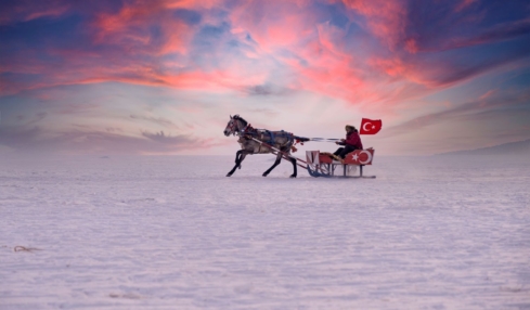 Pferd mit Kutsche und Türkiye Flagge