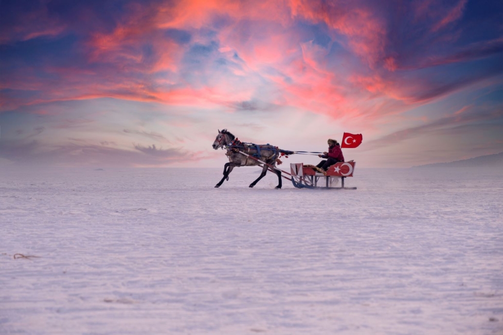 Pferd mit Kutsche und Türkiye Flagge