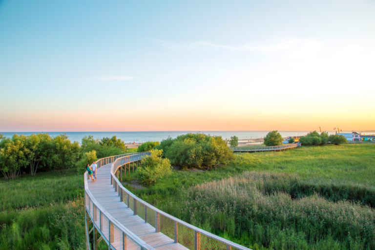 253818-parnu-coastal-meadow-hiking-trail